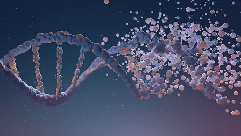 Fetal DNA Testi 